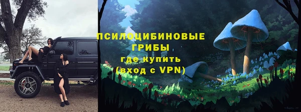 бутират Баксан